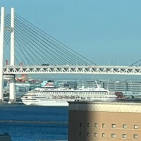 画像234