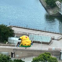 画像247