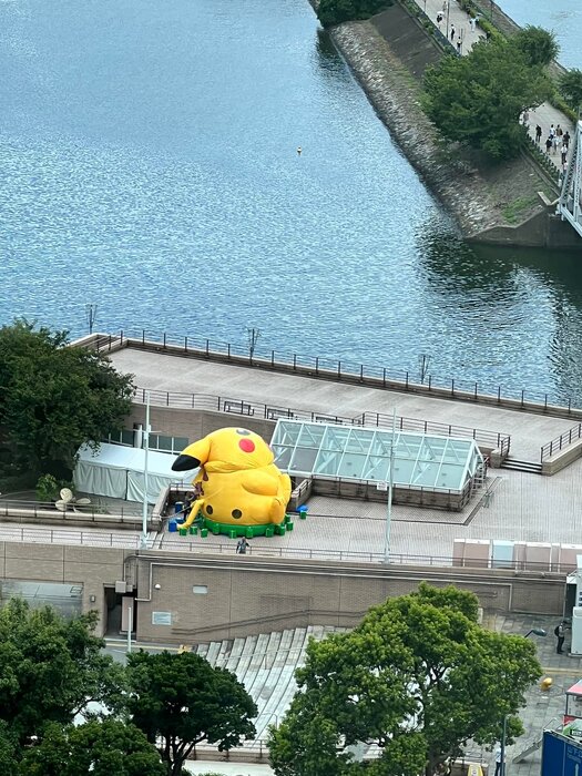 画像247