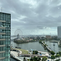 画像256